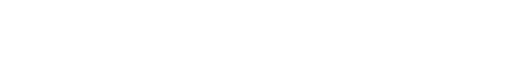 Schachwerk DE